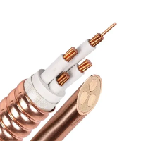 2025 Kilang kabel penebat mineral 10 teratas di dunia